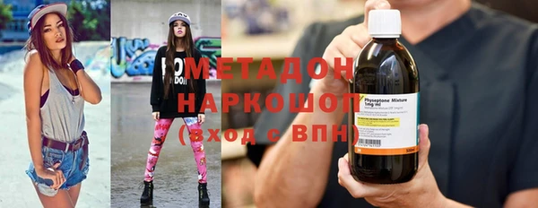 индика Бородино