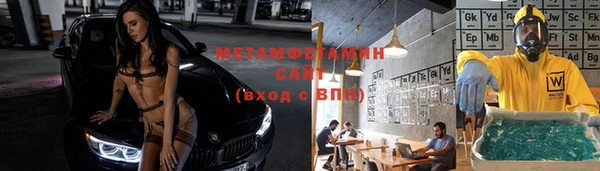 индика Бородино