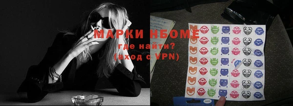 индика Бородино