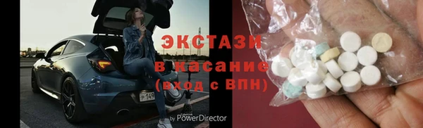 индика Бородино
