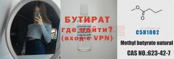 индика Бородино