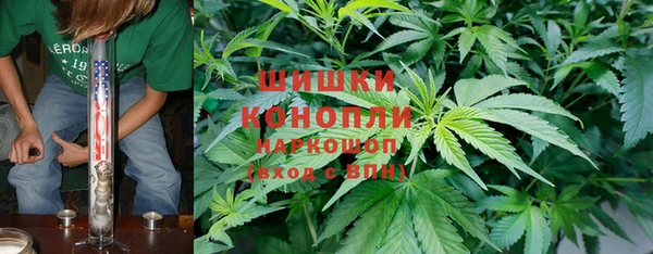 индика Бородино