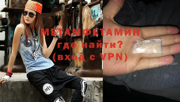 индика Бородино