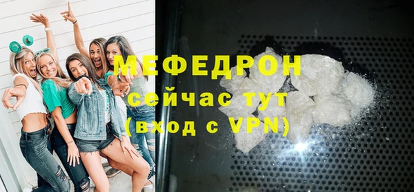 индика Бородино