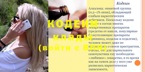 индика Бородино