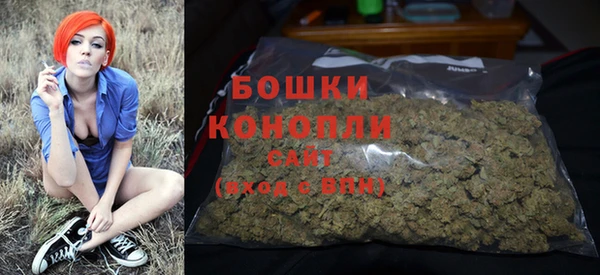 PSILOCYBIN Бугульма