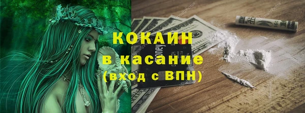 индика Бородино