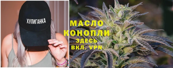 индика Бородино