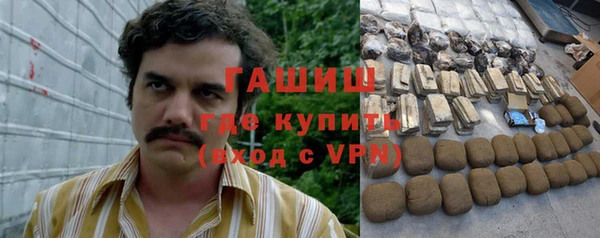 индика Бородино