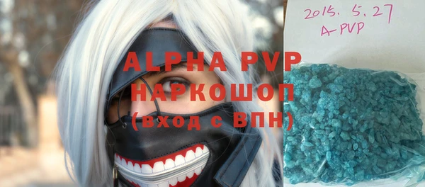 индика Бородино