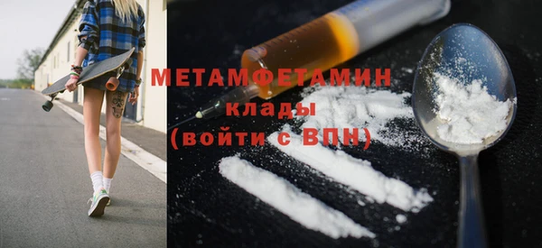 индика Бородино